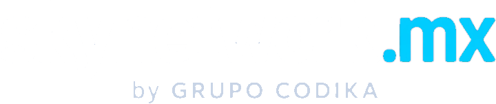 skynetwork.mx by Grupo Codika